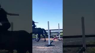 Bareback Edit!