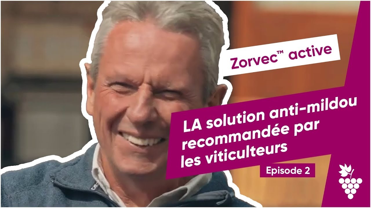 Mildiou de la vigne : comment protéger son vignoble ? | Zorvec™ active #2
