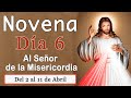 Novena a la Divina Misericordia (Día Sexto / 07 de abril 2021). Novena, Coronilla y Reflexión.