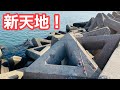 【新天地】いつもと違う場所で、ドラゴンと座布団を狙う！！竿を持って行く大物現る？【飲ませ釣り】