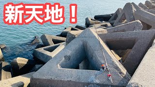 【新天地】いつもと違う場所で、ドラゴンと座布団を狙う！！竿を持って行く大物現る？【飲ませ釣り】