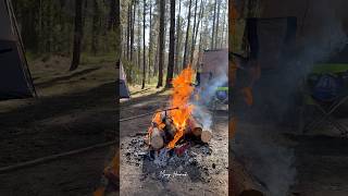 Relaxing Forest Escape, Pure Australian Camping ASMR. #asmr  #campingasmr  #australia  #campinglife