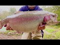 超巨大なニジマス『スチールヘッド』を山の中の釣り場で釣って食べる