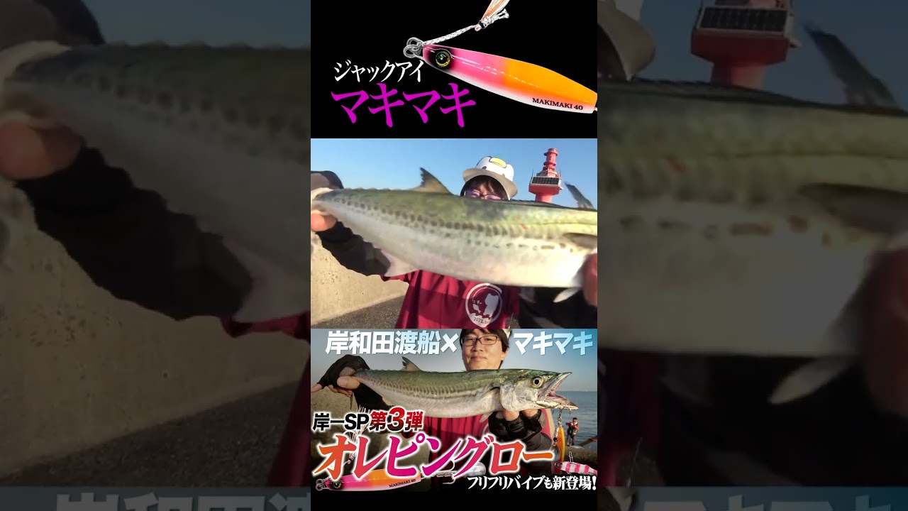 Maki Maki] Kishichi SP Color Vol. 3!! #ShoreJigging #Fishing