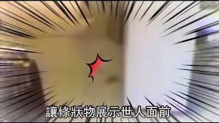 妳的底褲咧!!正妹ZARA店內站著拉屎  蘋果日報20150904