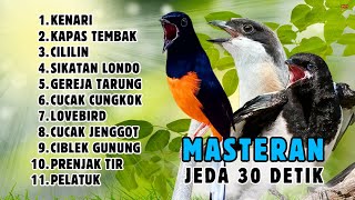 🔴 MASTERAN MURAI BATU GACOR JEDA 30 DETIK BISA UNTUK CENDET, KACER, IJO || 957