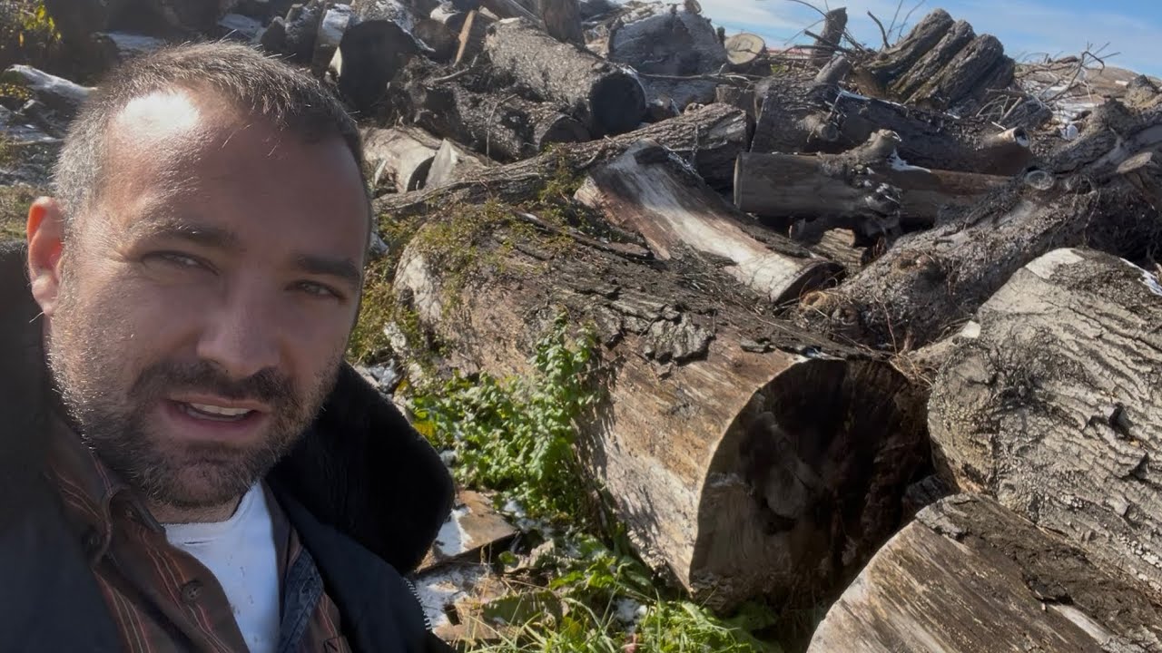 Древесина для ухода за деревьями, вывоз металлолома🙏🪵 🙌