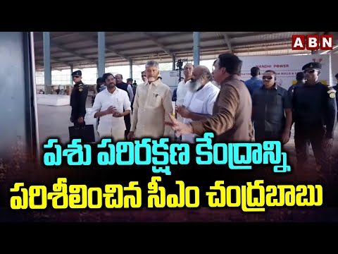 పశు పరిరక్షణ కేంద్రాన్ని పరిశీలించిన సీఎం చంద్రబాబు | CM Chandrababu Nellore Tour | ABN - ABNTELUGUTV