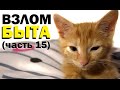 Галилео. Взлом быта (15 серия)