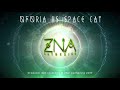 Oforia vs space cat producer set at zna gathering 2017