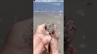 My inside voice, Luisa Vargas LV7massage