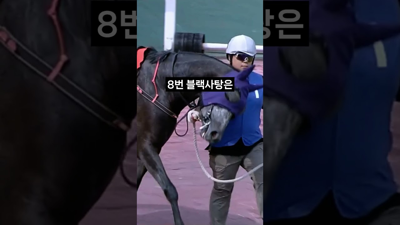 26.01.25 서울경마 08경주