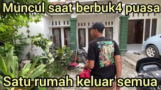 T1BA-T1BA MUNCUL SAAT AKAN BERBUK4 PUASA ULAR INI SAMPAI SEISI RUMAH KELUAR SEMUA