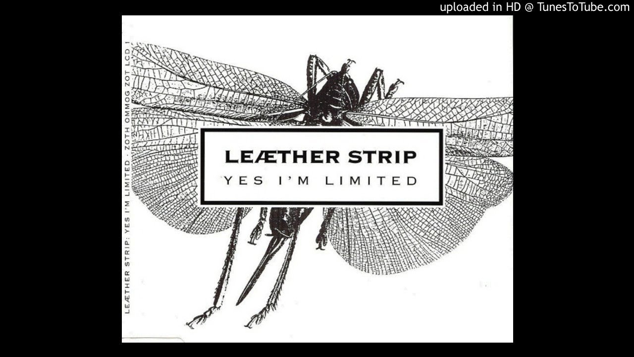 Смотреть «Leæther Strip - Touchdown Breakdown '92» на YouTube Смотреть «Leæther Strip - Touchdown Breakdown '92» на YouTube