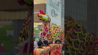 Buddha Birthday Celebration In Korea ☸️⛩️🇰🇷 #buddhapurnima #koreavlog