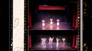 USFCSSA 2013蛇年春晚宣传