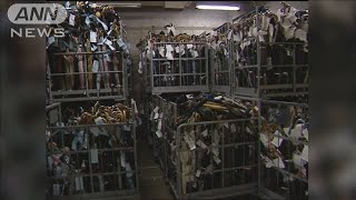 「落とし物」が過去最多　現金は約228億円…犬や猫も(2024年5月14日)