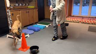 Movement Puzzle with Korbo (8 months) Ballerina (2.5 years) Rum (4.5 years) and Tat (11.5 years).