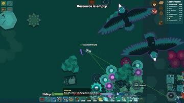 Starve.io Kill Comp #3