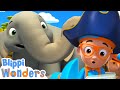 Elephants in the Sahara | Blippi Wonders| Cartoons for Kids - Explore With Me!