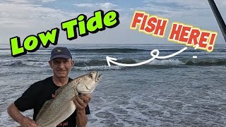 The Low Tide Beach Fishing Secret Most Anglers miss! screenshot 3