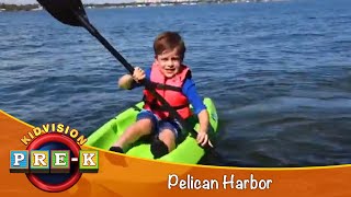Pelican Harbor | Virtual Field Trip | KidVision Pre-K