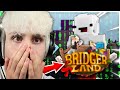 HO UTILIZZATO le HACK nel SERVER BEDWARS di BEDLESS NOOB!