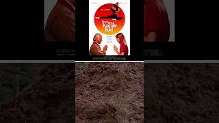 The Karate Kid Movies ranked