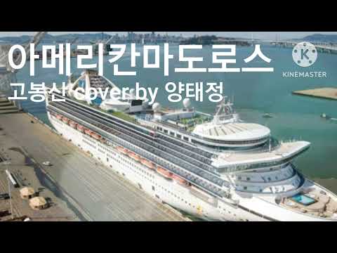 아메리칸마도로스(고봉산 원곡)양태정