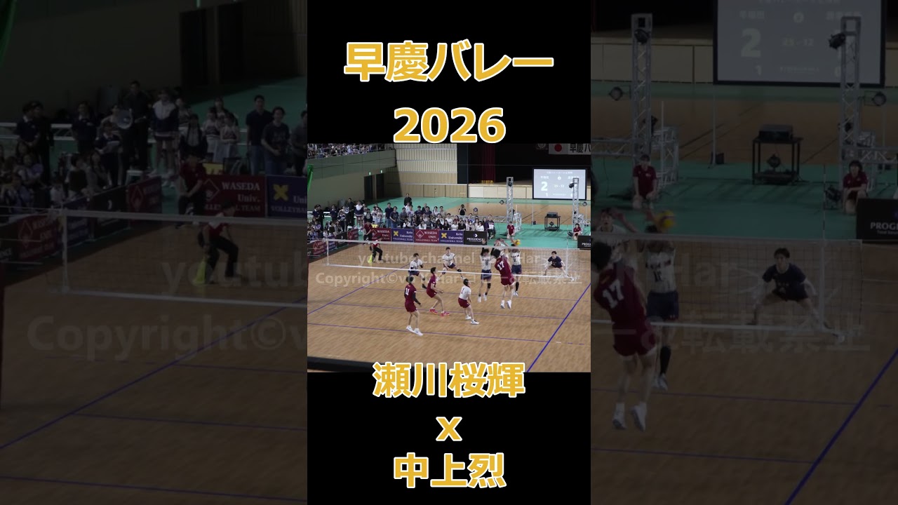 #早慶バレー 2026 会場がどよめく #瀬川桜輝 選手と #中上烈 選手のコンビ #japanvolleyball #バレーボール #volleyball #早慶バレーボール定期