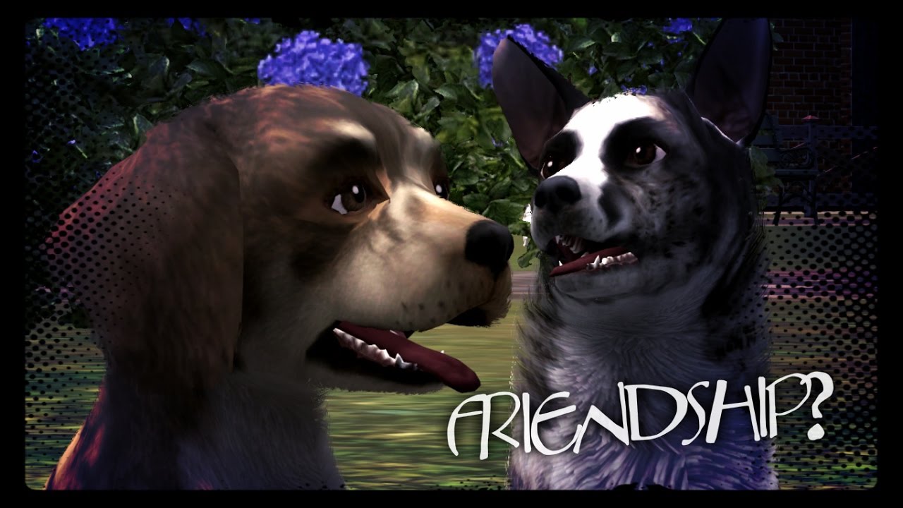 Behind Closed Doors Episode 2 Sims 3 Dog Story YouTube