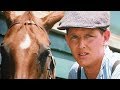 Phar lap 1983 original trailer