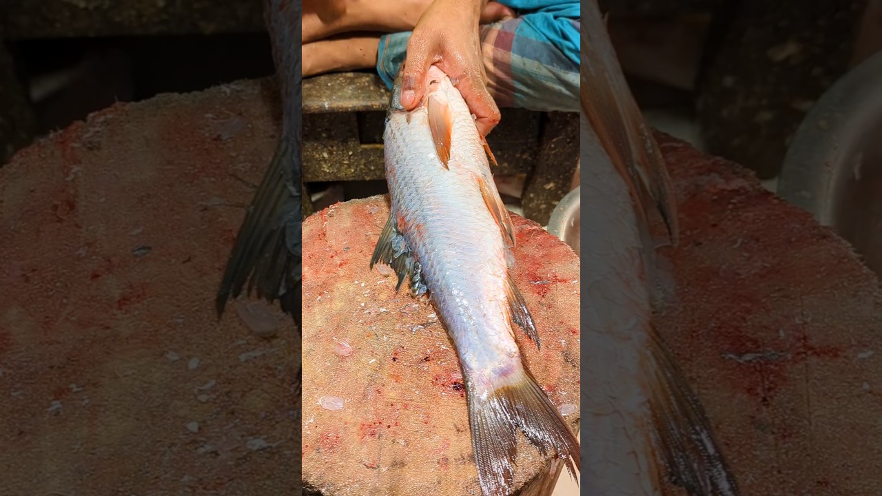 Most Creative Rohu Fish Cutting Skills By Professional Cutter|😲 (episode:-22) 