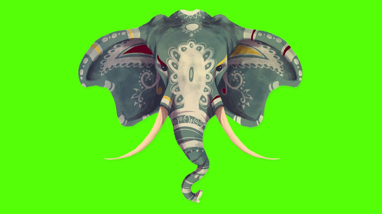 ROYALTY FREE GREEN SCREEN Elephant vector animation - YouTube