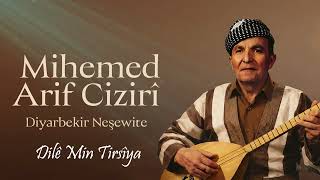 Mıhemed Arif Cizrawî - Dilê Min Tirsîya Sesmedia