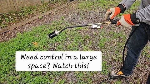 Watch us use Jayicheng propane torch weed burner kit