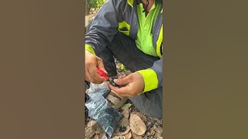 Cách kết nối bộ béc g5 nhanh nhất