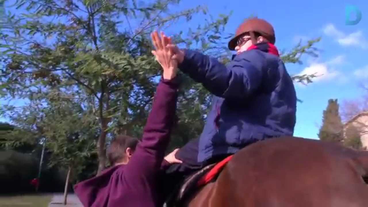 hipoterapia kurs Equinoteràpia, el poder dels cavalls