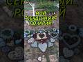 Рокарий #садовые фигурки #поделки для сада из цемента #cement #garden #цветы #сад  #shorts #садовод