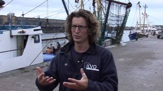 Flatfish discard survival