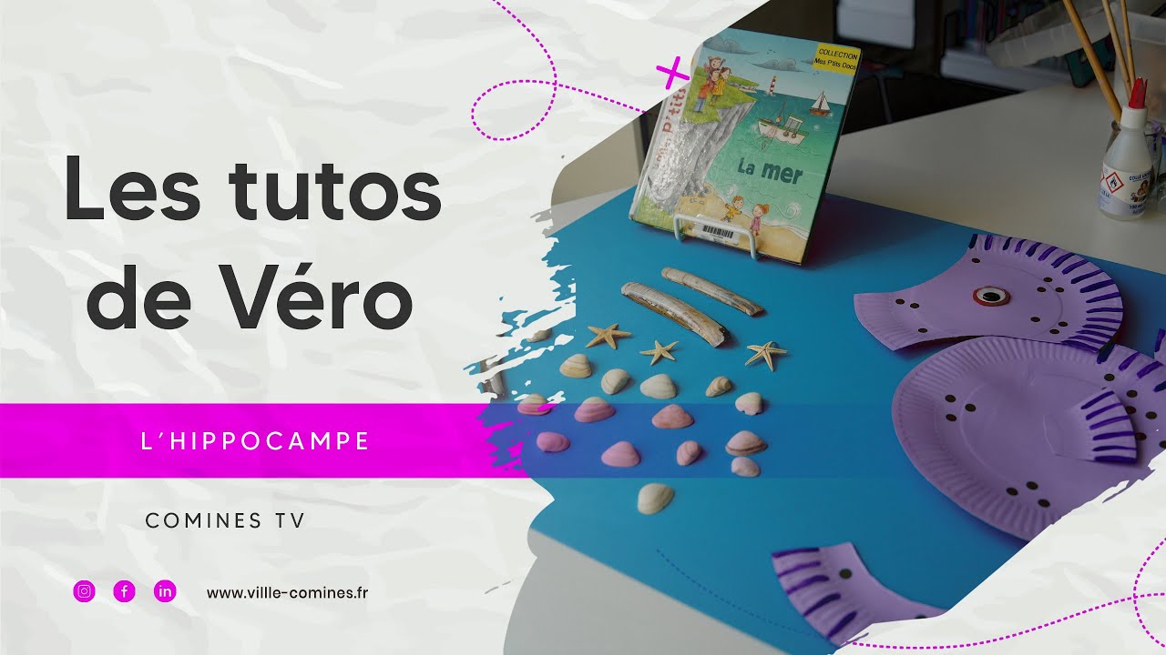 Les tutos de Véro : l'hippocampe