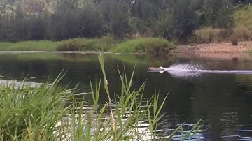 FS-GT3C steering problem
