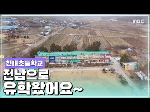 전남으로 유학 왔어요~ [오매전라도_광주MBC_2020.02.15]