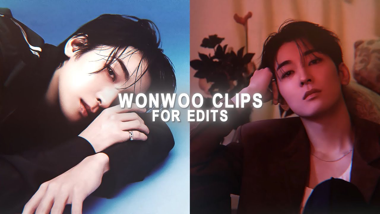 wonwoo clips for edits #1