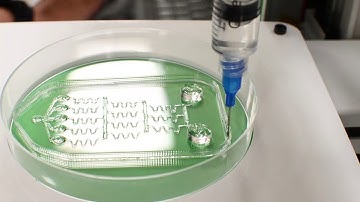 Lab-On-A-Chip Device