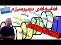 فەلسەفەی دیتیرمنیزم پوختەی فیکر و ئاراستە و هۆکارەکان 
