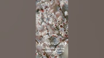 لخلق السماوات والأرض(سورة غافر) #قران_كريم #شيخ_ياسر- دوسري #اكسبلور #explore