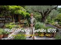 Mediterranean Garden Design 2025: Sunny Colors, Fragrant Herbs & Tuscan-Inspired Oasis Ideas