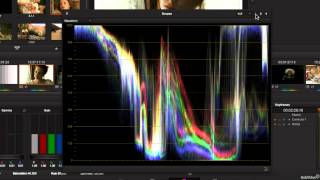 DaVinci Resolve 102: The Color Page  Video Scopes - 13. Opening and Customizing the Scopes