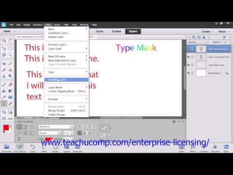 Adobe Photoshop Elements 12 Tutorial Text Employee Group Training 11.6